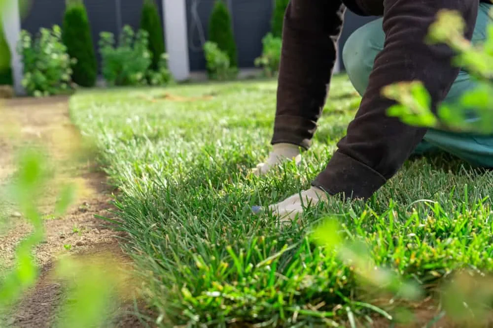 Gardener Tending Lawn Mecklenburg County North Carolina