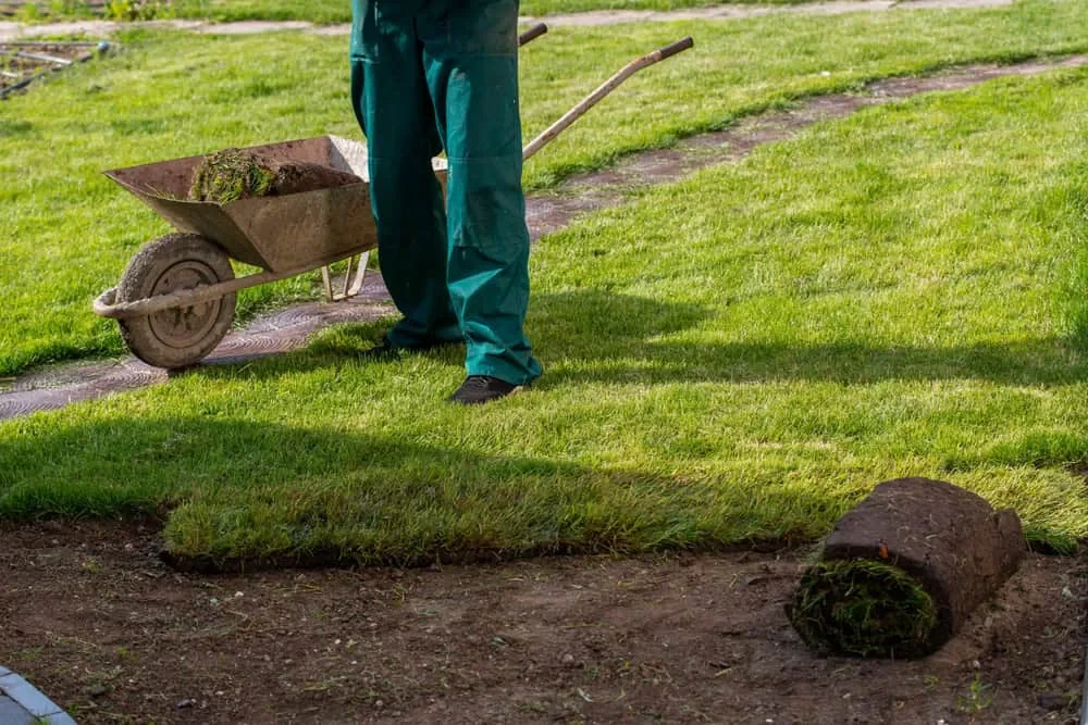 Landscaper Laying Grass Mecklenburg County North Carolina