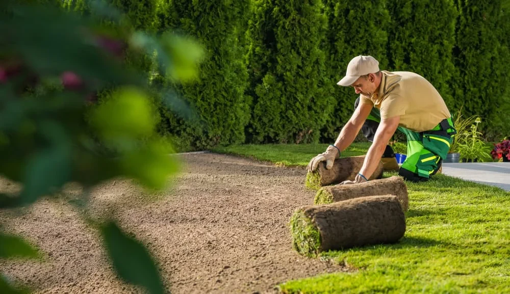 Landscaper Laying Grass Sod Mecklenburg County North Carolina_2