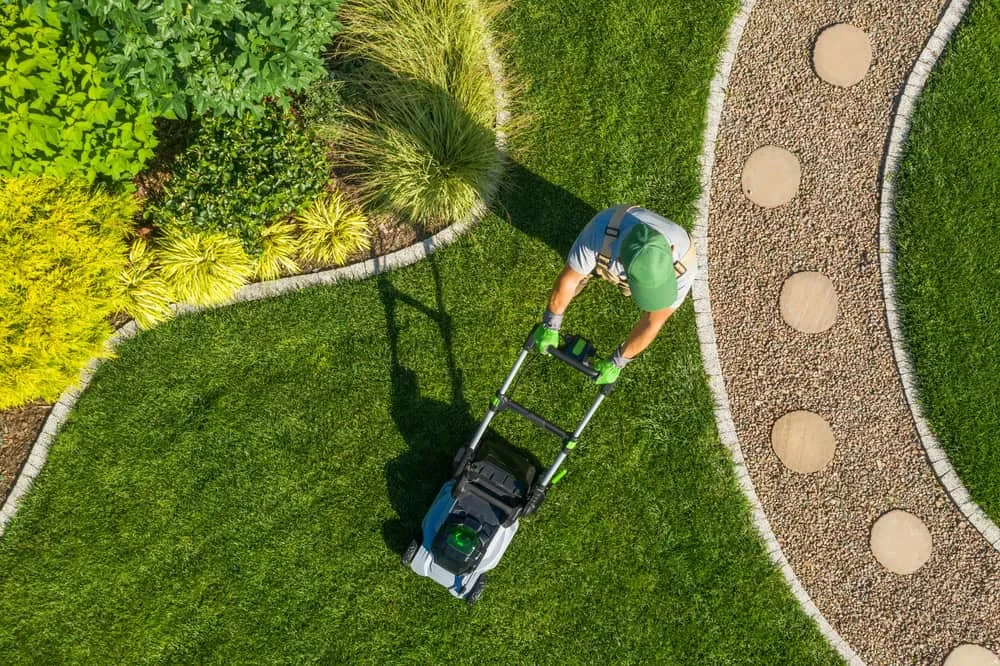 Lawnmower Garden Top View Mecklenburg County North Carolina