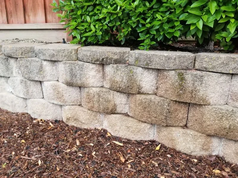 Stone Wall Shrubs Mulch Mecklenburg County North Carolina_1