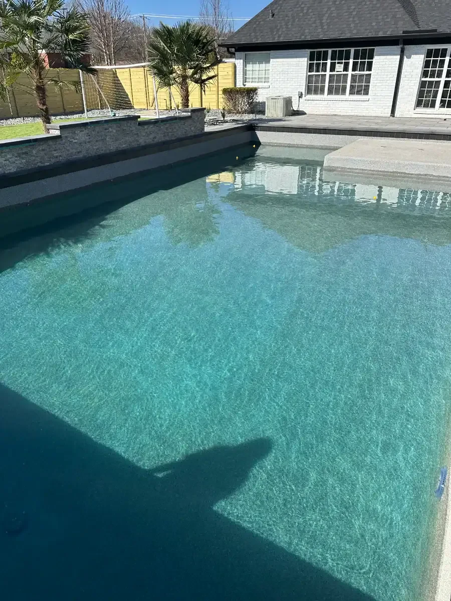 Pool Palm House Sunny Mecklenburg County North Carolina