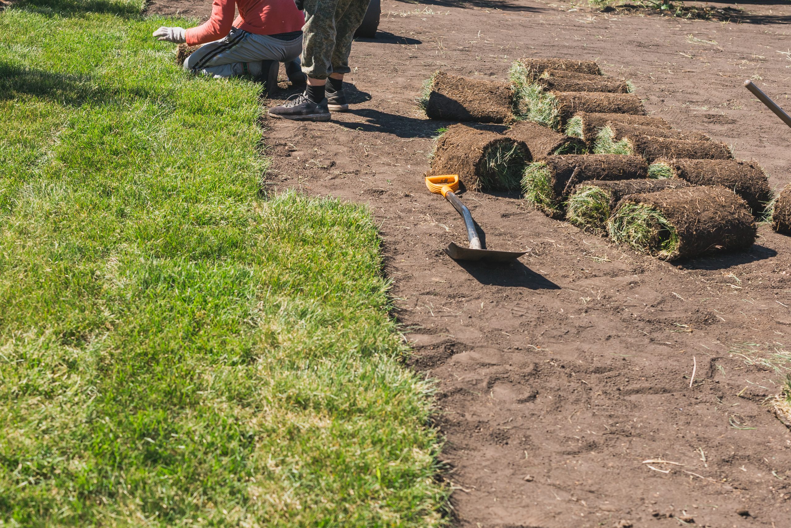 People installing sod on dirt, with rolls of grass and a shovel nearby, only their legs are visible.