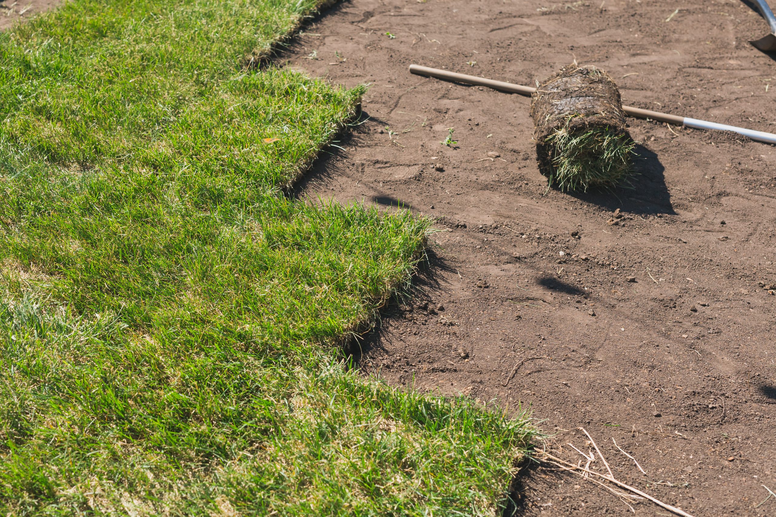 Rolled sod and a rake sit on bare soil beside partially installed green grass in a residential yard.
