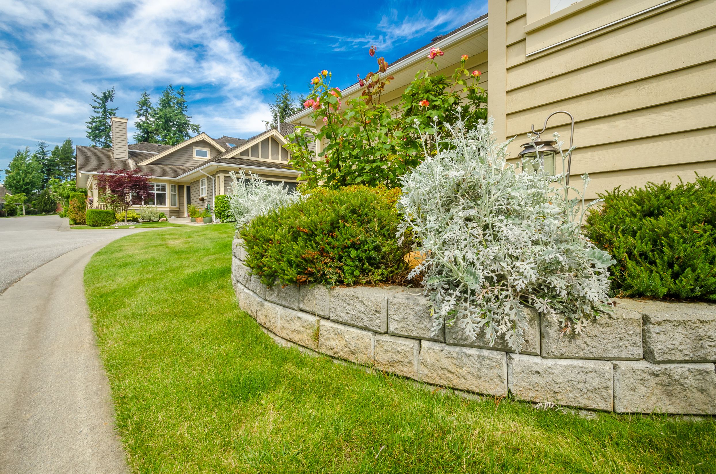 Well-manicured lawn and flower garden with shrubs in front of a house on a sunny, suburban day.