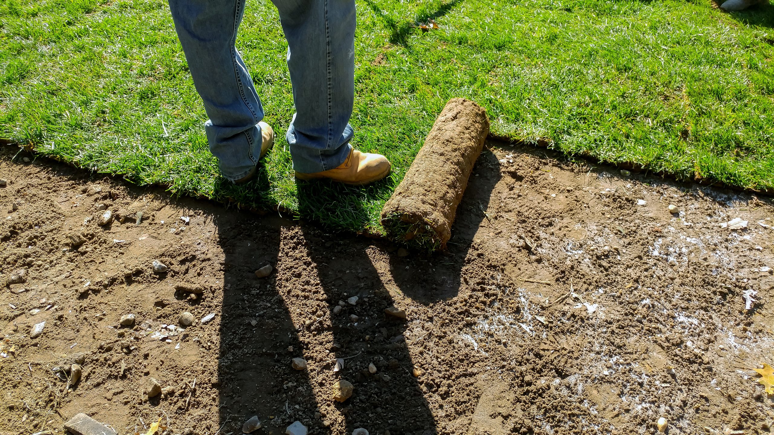 A person in jeans and boots is laying sod onto bare soil in a sunny yard, preparing for new grass.