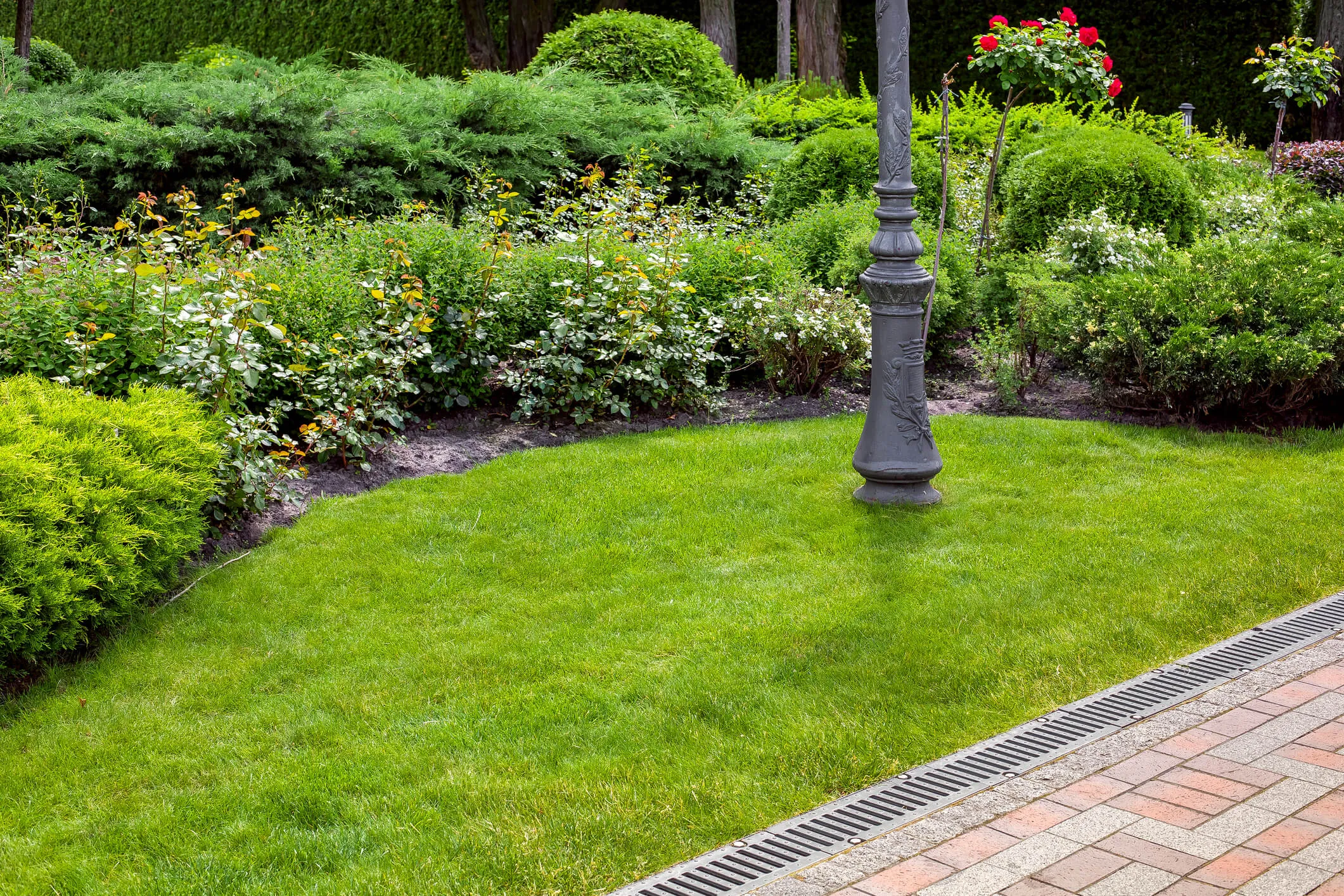 Landscaping