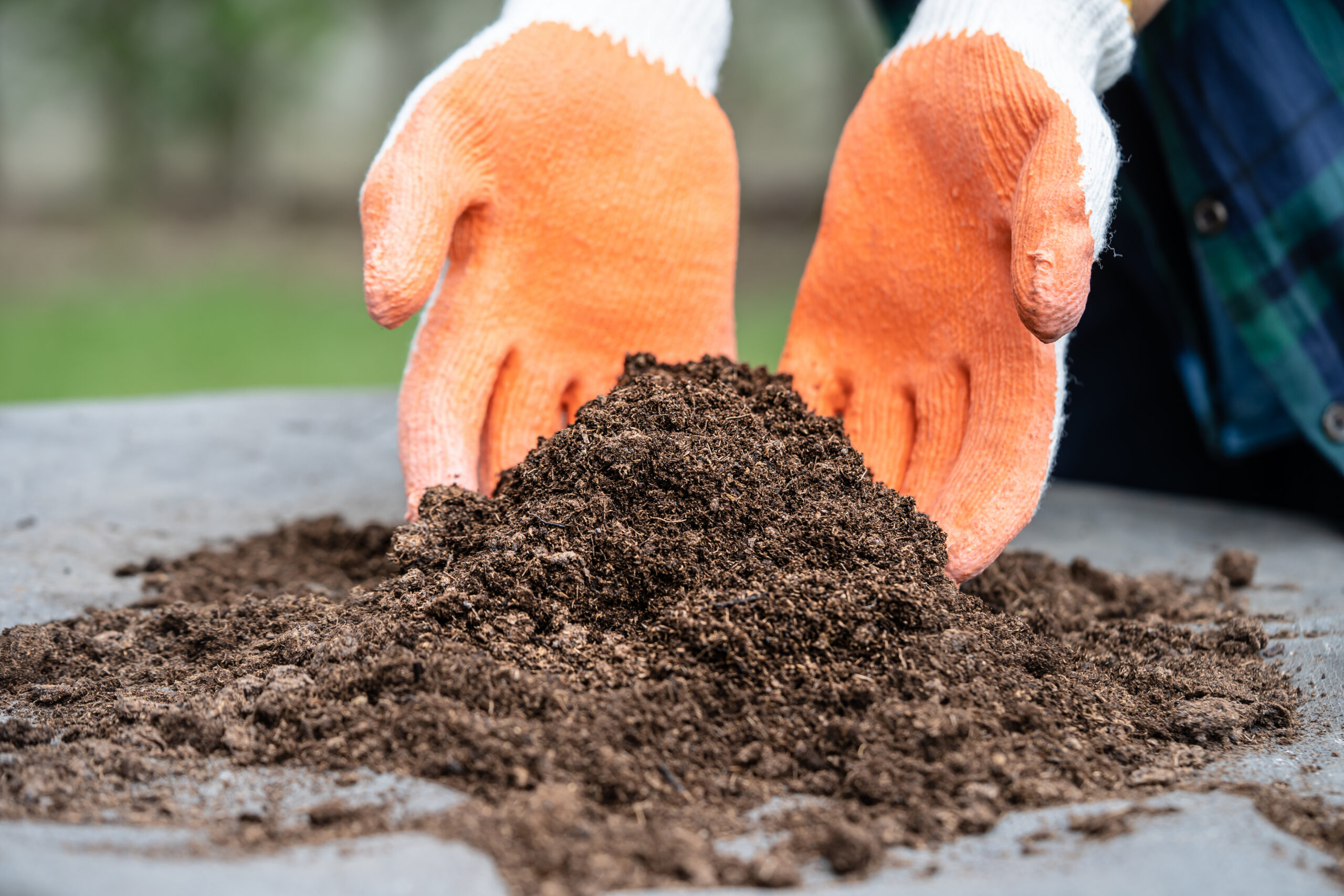 Hands in orange gloves hold gardening soil on a gray surface, ready for outdoor planting or landscaping.